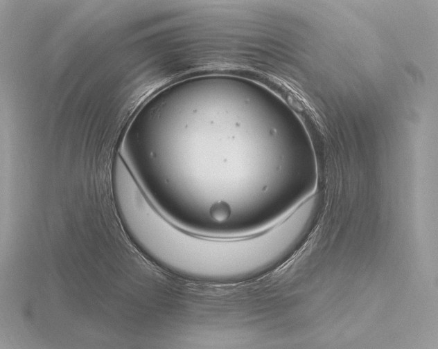 X0000116161273200912071317