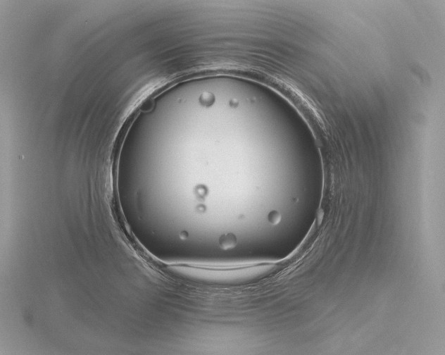 X0000116161274200912071317