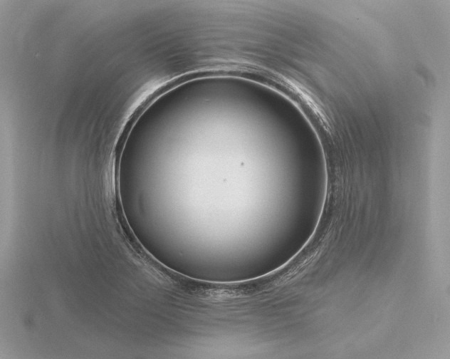 X0000116161275200912071317