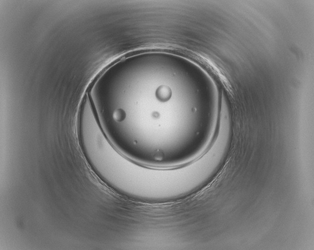 X0000116161276200912071317