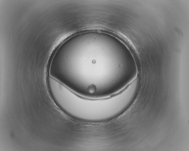 X0000116161277200912071317