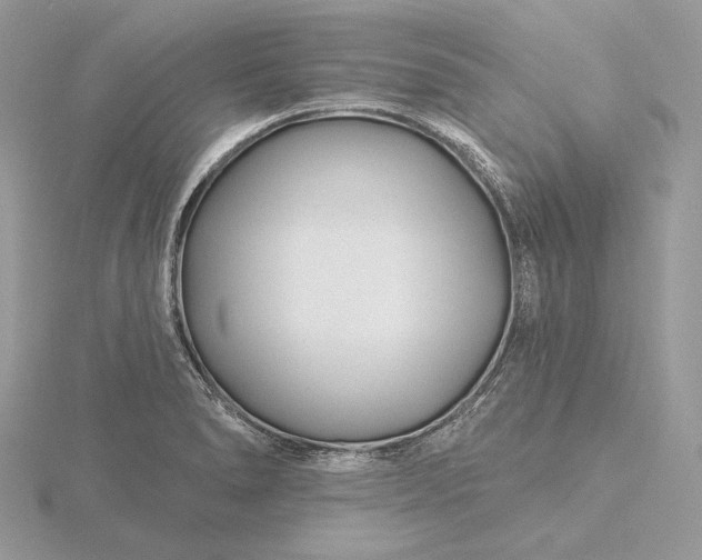 X0000116161278200912071317