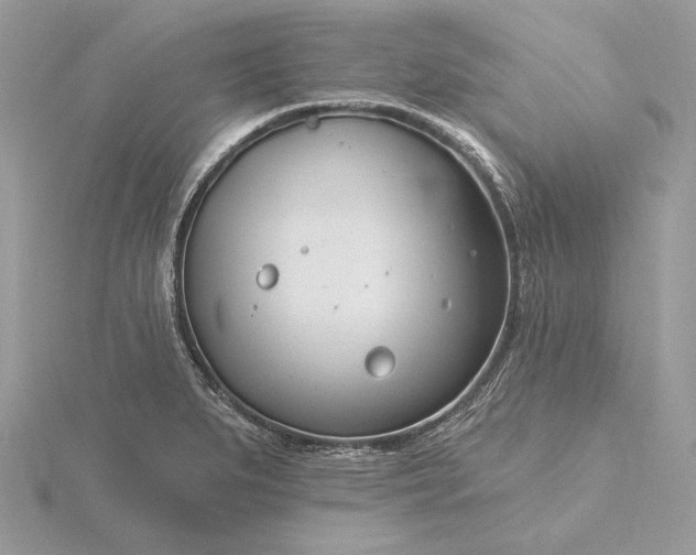 X0000116161279200912071317