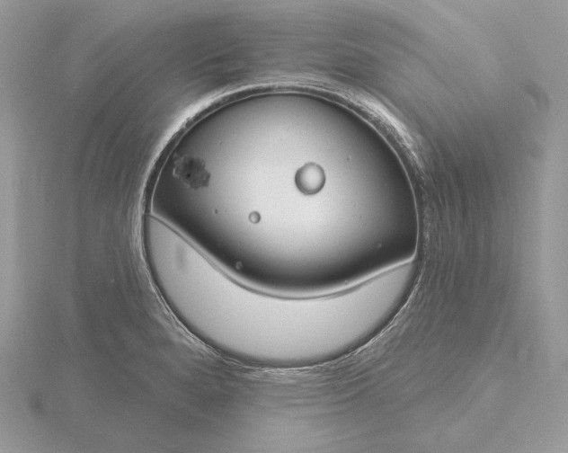 X0000116161280200912071317