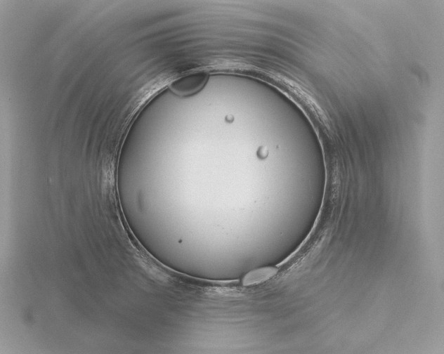 X0000116161281200912071317