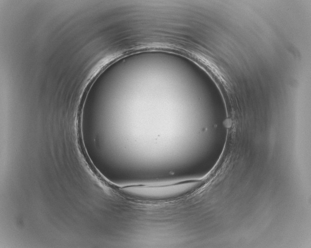 X0000116161282200912071317