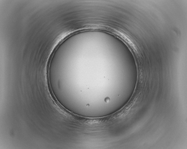 X0000116161283200912071317