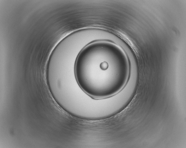 X0000116161284200912071317