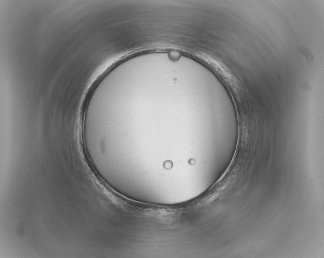 X0000116161286200912071317