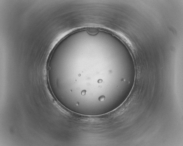 X0000116161287200912071317