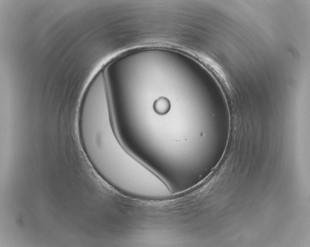 X0000116161288200912071317