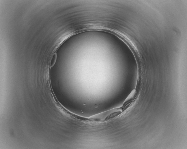 X0000116161289200912071317