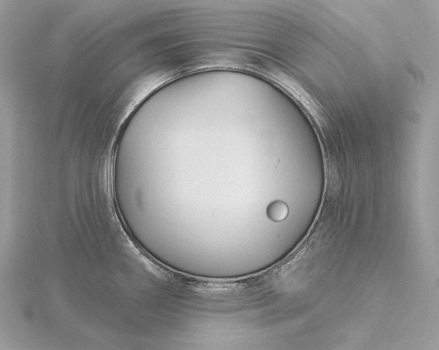 X0000116161290200912071317