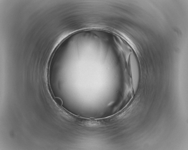 X0000116161291200912071317