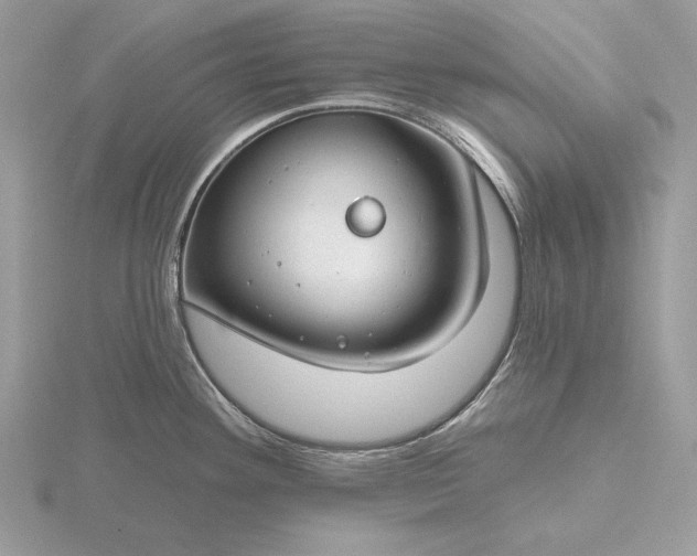 X0000116161292200912071317