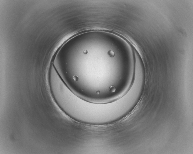 X0000116161293200912071317