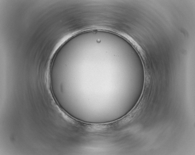 X0000116161294200912071317