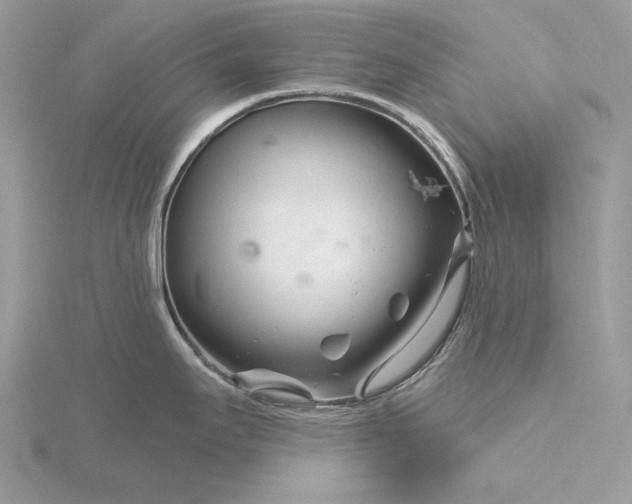 X0000116161295200912071317