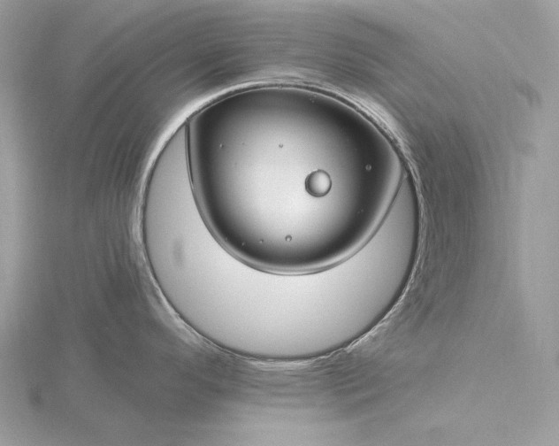 X0000116161296200912071317