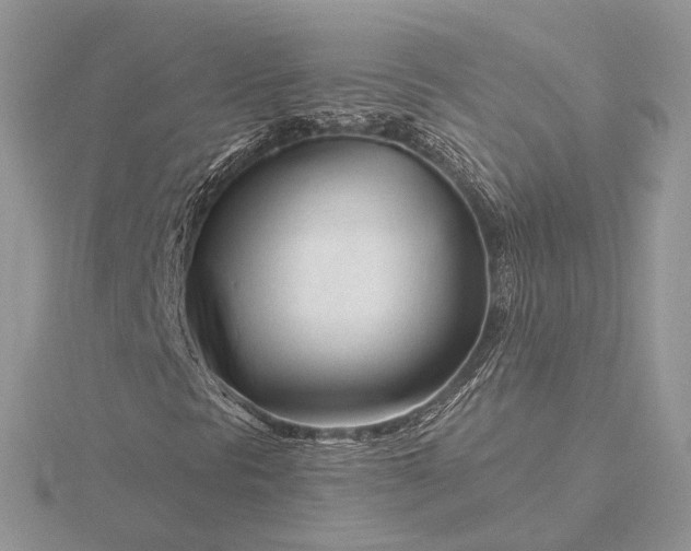 X0000116161297200912071316