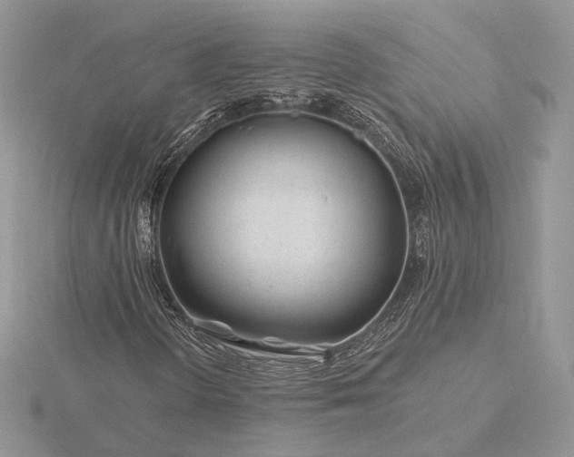 X0000116161298200912071316