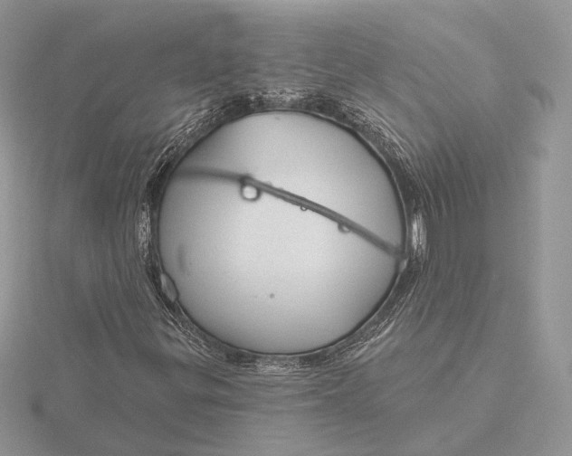 X0000116161299200912071316