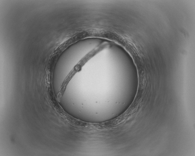 X0000116161301200912071316