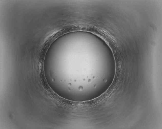 X0000116161302200912071316