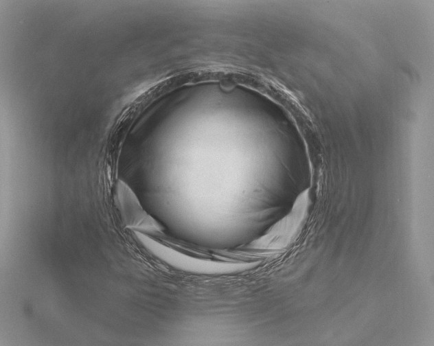 X0000116161303200912071316