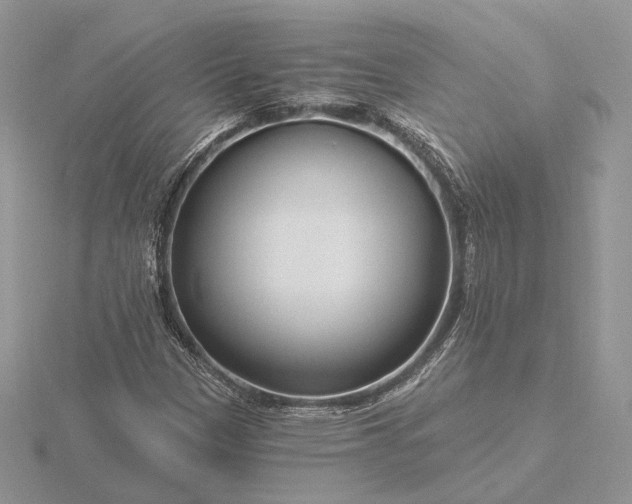 X0000116161305200912071316