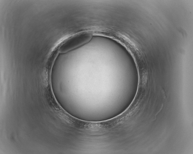 X0000116161310200912071316