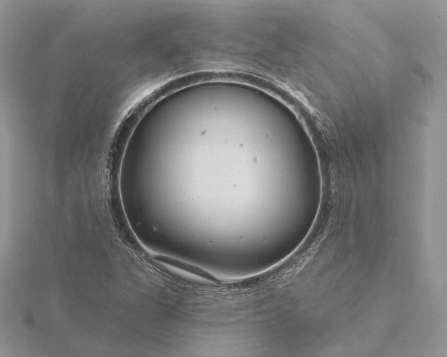 X0000116161311200912071316