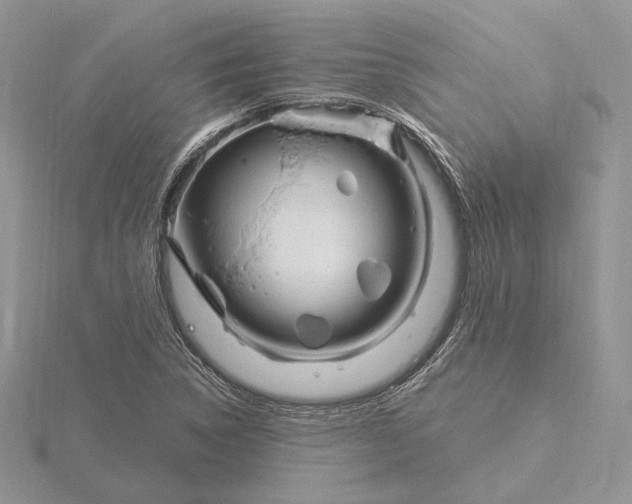 X0000116161314200912071316