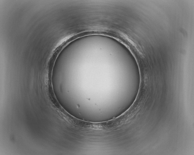 X0000116161315200912071316