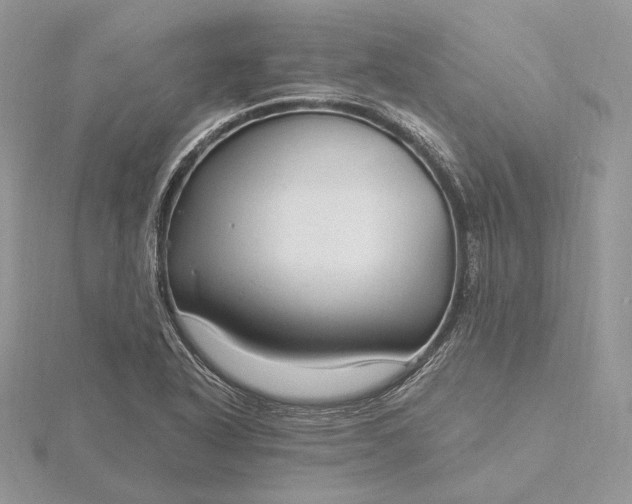 X0000116161318200912071316