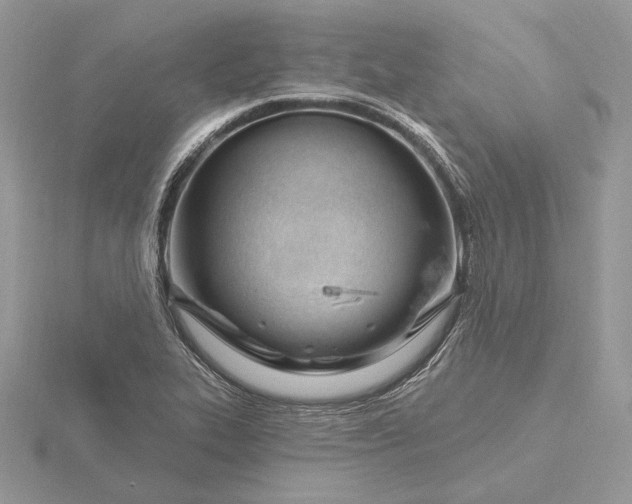 X0000116161319200912071316