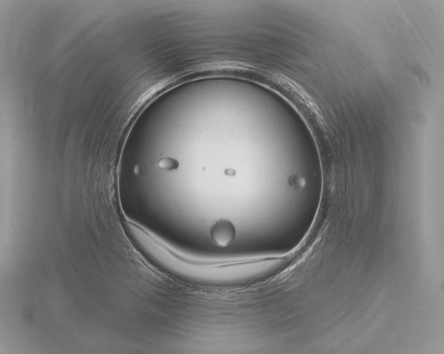 X0000116161321200912071316