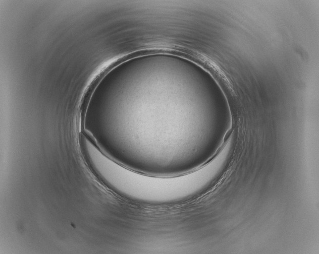 X0000116161323200912071316