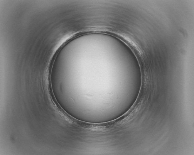 X0000116161325200912071316