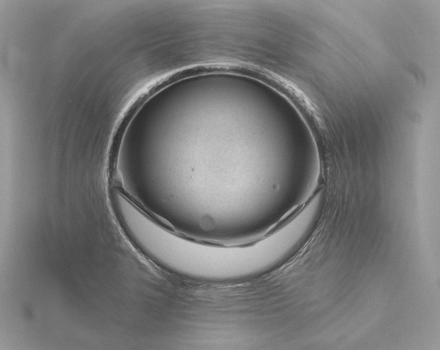 X0000116161327200912071316