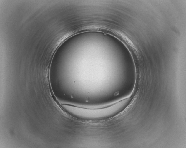 X0000116161329200912071317