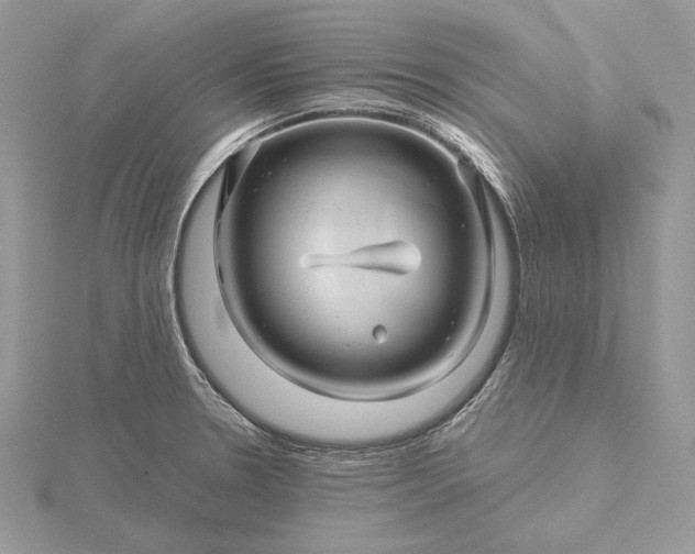 X0000116161330200912071317