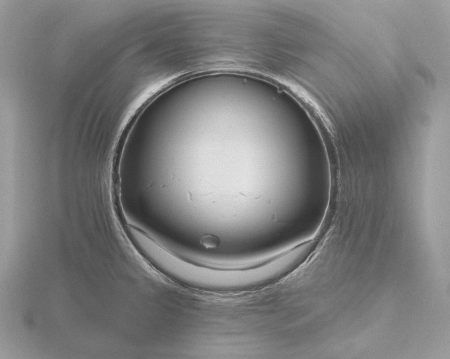 X0000116161333200912071317