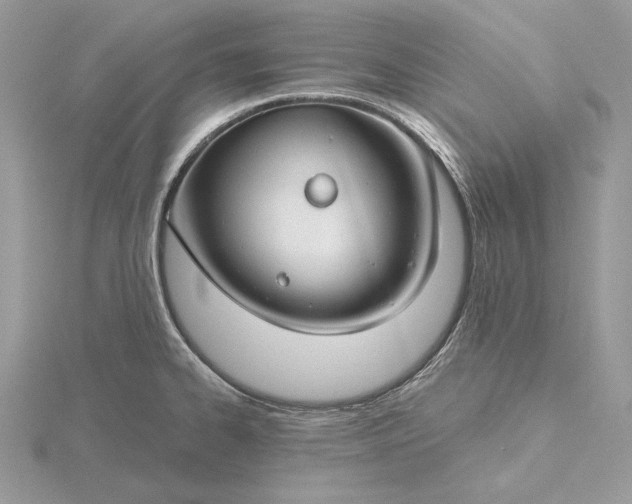 X0000116161334200912071317