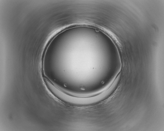 X0000116161335200912071317