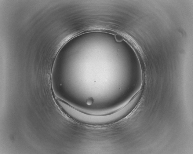 X0000116161337200912071317