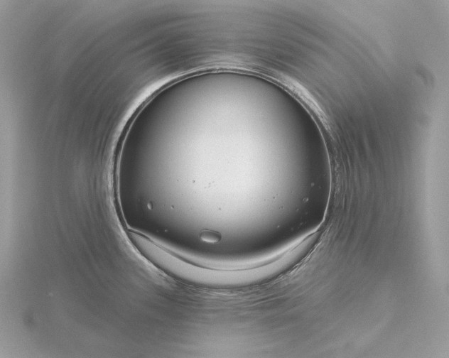 X0000116161339200912071317