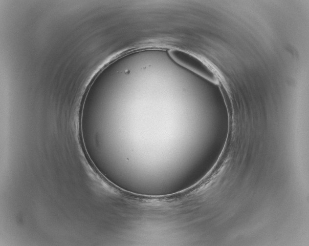 X0000116161341200912071317