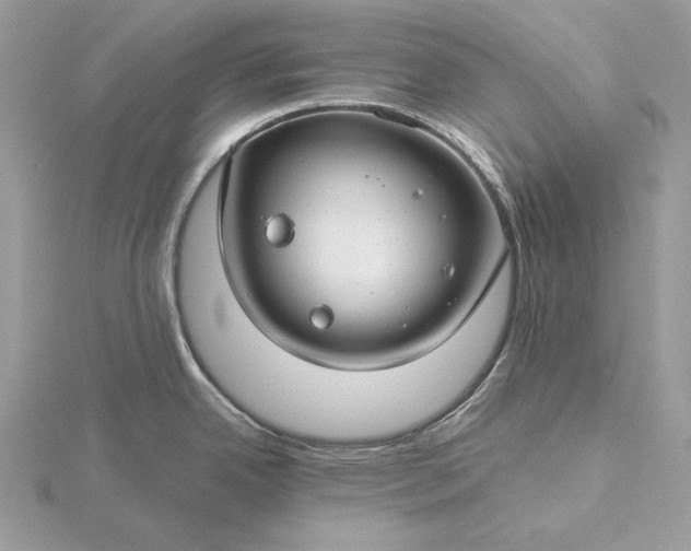 X0000116161342200912071317