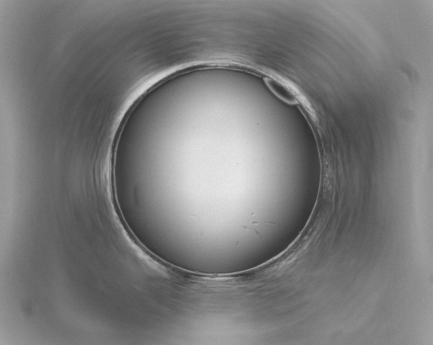 X0000116161343200912071317